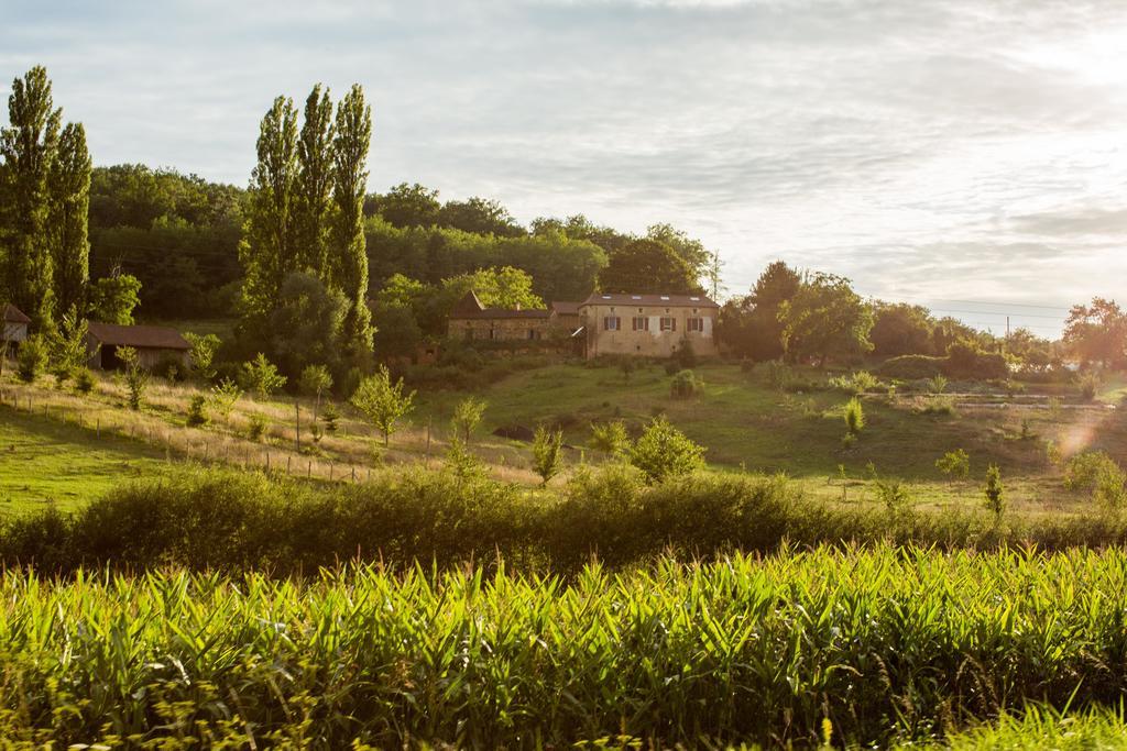 La Ferme De Cagnolle Saint-Amand-de-Belves Ngoại thất bức ảnh