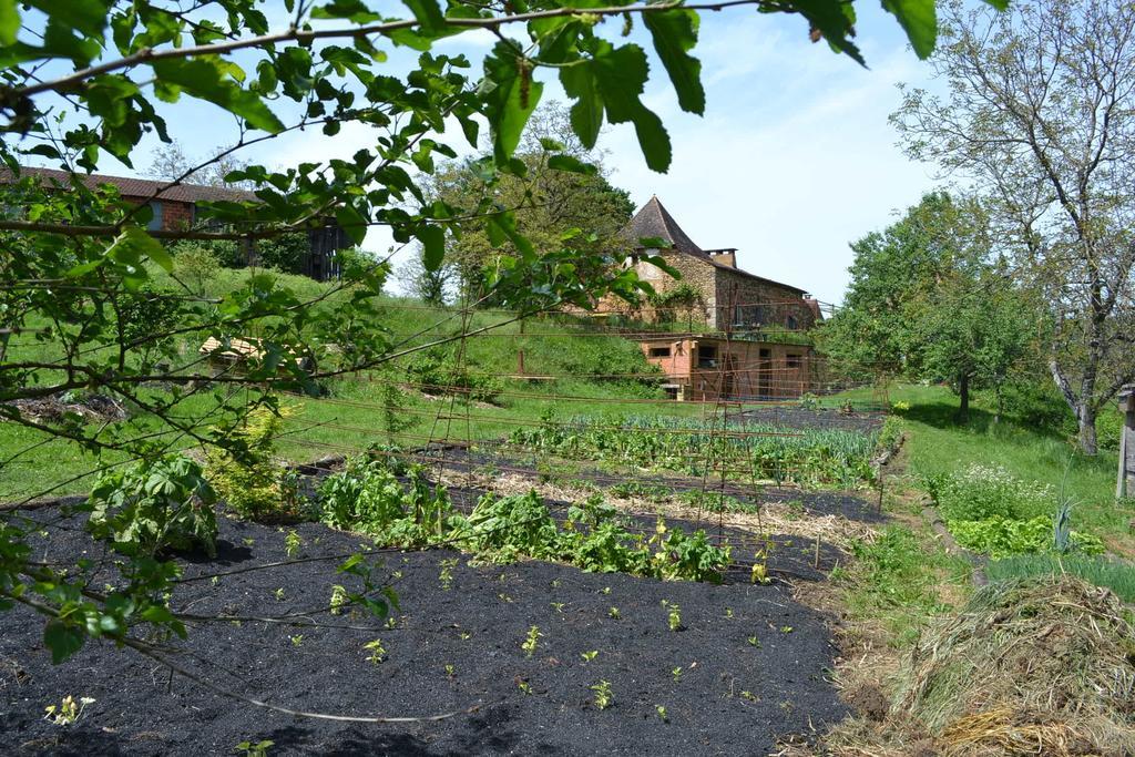 La Ferme De Cagnolle Saint-Amand-de-Belves Ngoại thất bức ảnh